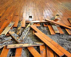 Dania Restoration Expert Dania, FL 754-206-0820