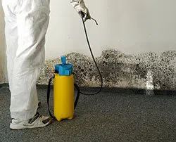 Dania Restoration Expert Dania, FL 754-206-0820