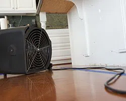 Dania Restoration Expert Dania, FL 754-206-0820