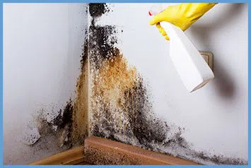 Dania Restoration Expert Dania, FL 754-206-0820 - abt-wgr-2