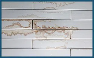 Dania Restoration Expert Dania, FL 754-206-0820 - country-wgr-2