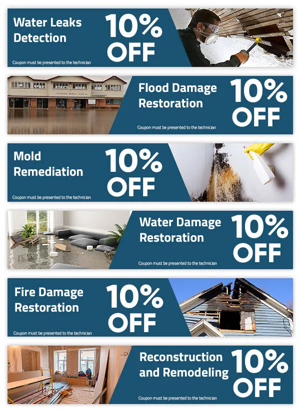 Dania Restoration Expert Dania, FL 754-206-0820