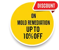 Dania Restoration Expert, Dania, FL 754-206-0820