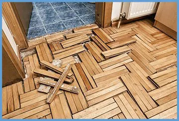 Dania Restoration Expert Dania, FL 754-206-0820 Dania Restoration Expert Dania, FL 754-206-0820