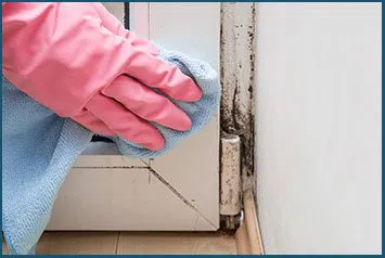 Dania Restoration Expert Dania, FL 754-206-0820 - mold-remediation-wgr-2