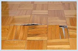 Dania Restoration Expert Dania, FL 754-206-0820