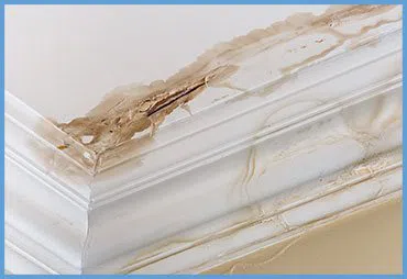 Dania Restoration Expert Dania, FL 754-206-0820 - water-damage-wgr-2